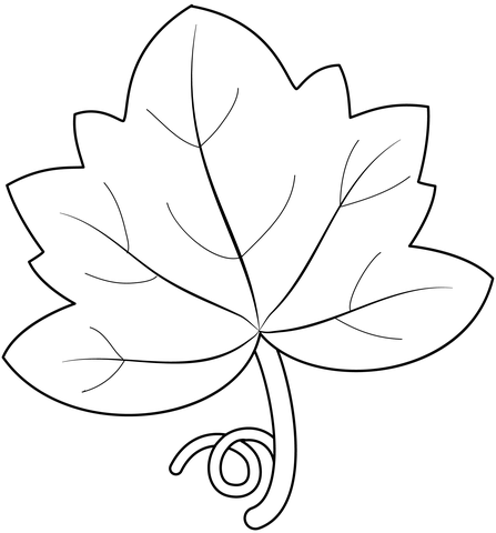 Pumpkin Leaf Coloring Page